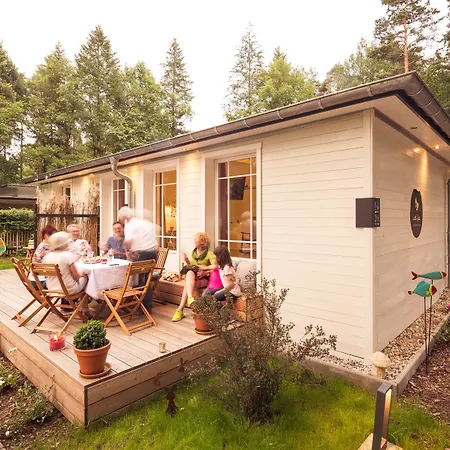 Little * Δρέσδη