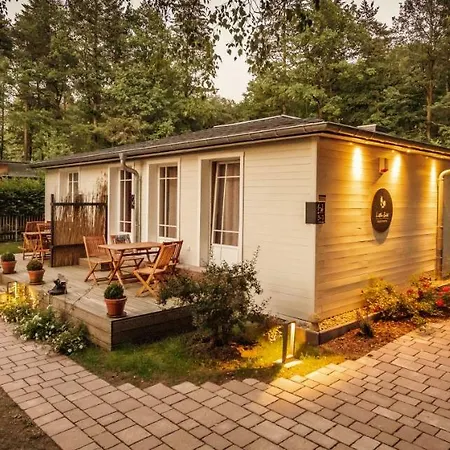 Little Appartement Dresde