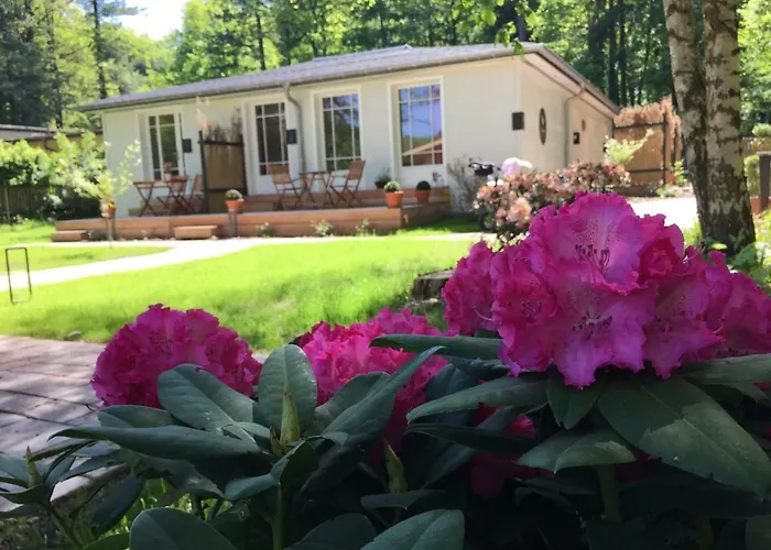 Little * Δρέσδη